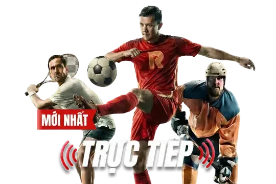 Hình minh họa Giấy phép hoạt động bongda88